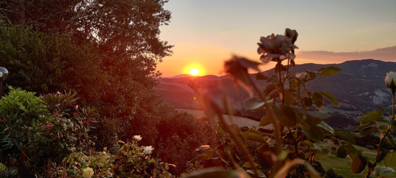 B&B La Terrazza Del Subasio อัสซิซี ภายนอก รูปภาพ