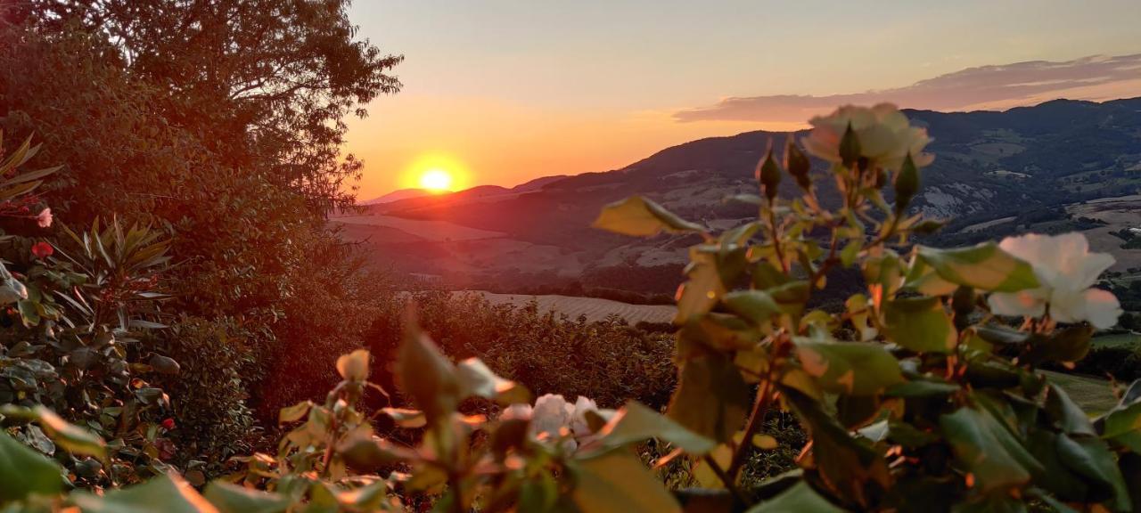 B&B La Terrazza Del Subasio อัสซิซี ภายนอก รูปภาพ