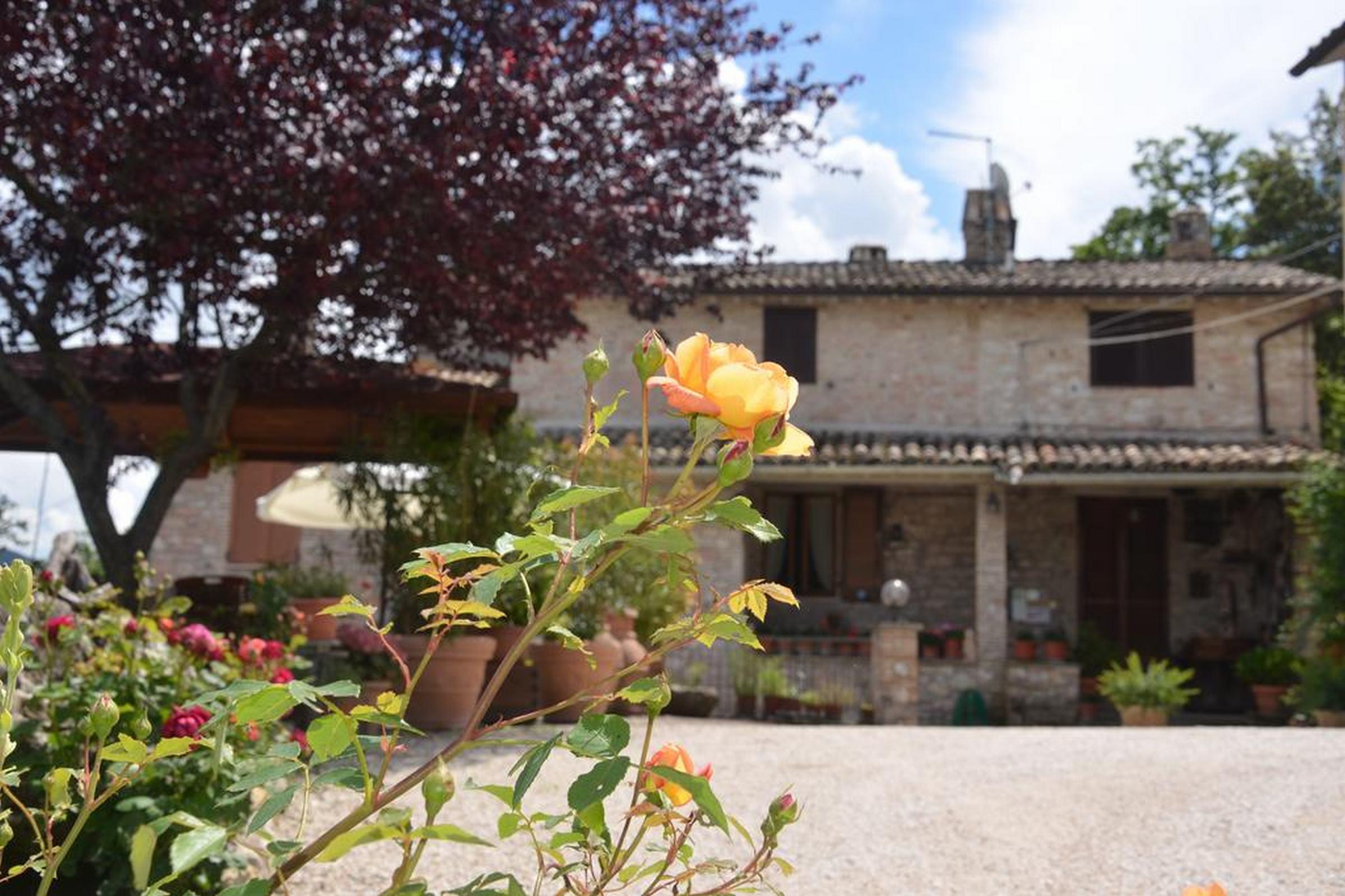 B&B La Terrazza Del Subasio อัสซิซี ภายนอก รูปภาพ