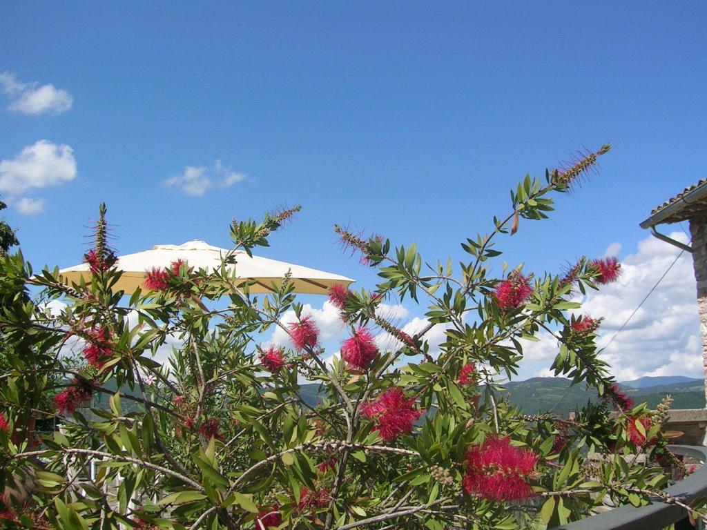 B&B La Terrazza Del Subasio อัสซิซี ห้อง รูปภาพ