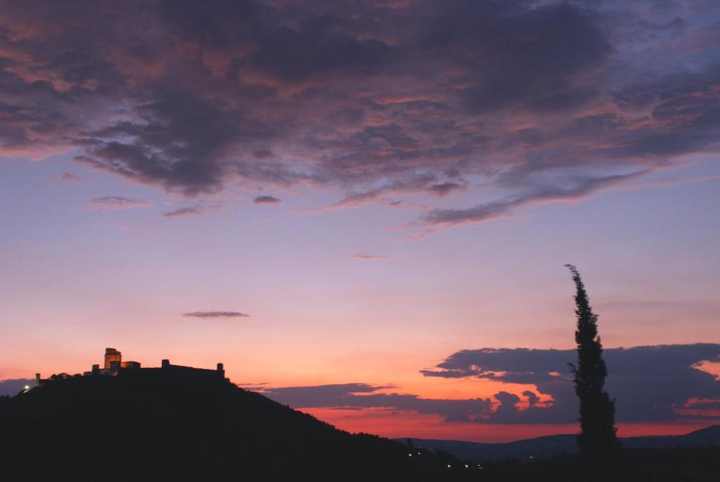 B&B La Terrazza Del Subasio อัสซิซี ภายนอก รูปภาพ