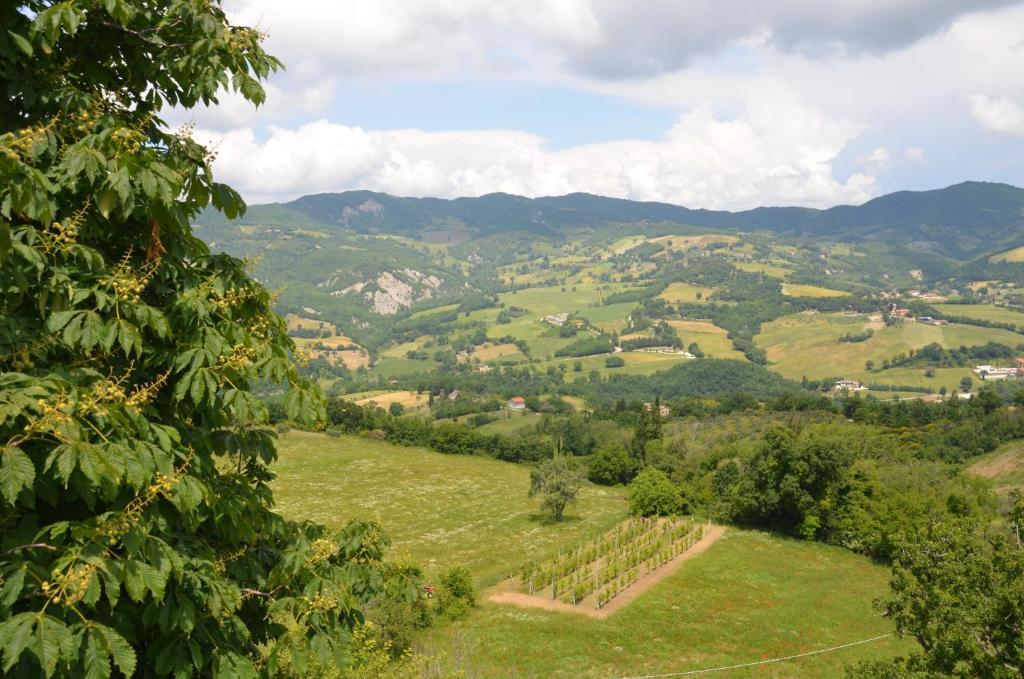 B&B La Terrazza Del Subasio อัสซิซี ภายนอก รูปภาพ
