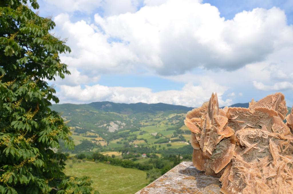 B&B La Terrazza Del Subasio อัสซิซี ภายนอก รูปภาพ